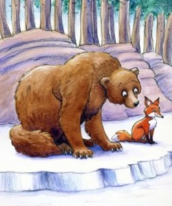Bear-and-fox-proactive